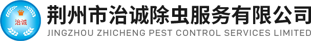武漢食品車間凈化工程